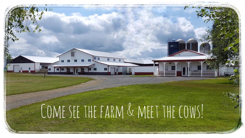 Come see the farm & meet the cows