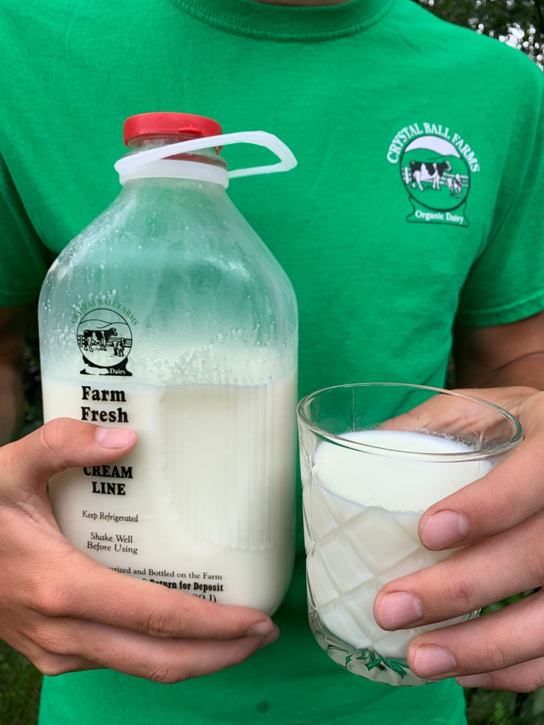 Milk bottle, glass, green t-shirt